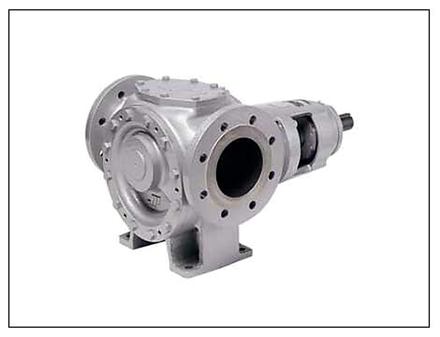 SPX Johnson Internal Gear Pump